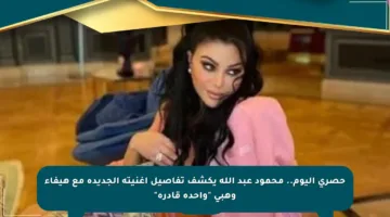 حصري اليوم.. محمود عبد الله يكشف تفاصيل أغنيته الجديدة مع هيفاء وهبي “واحدة قادرة”